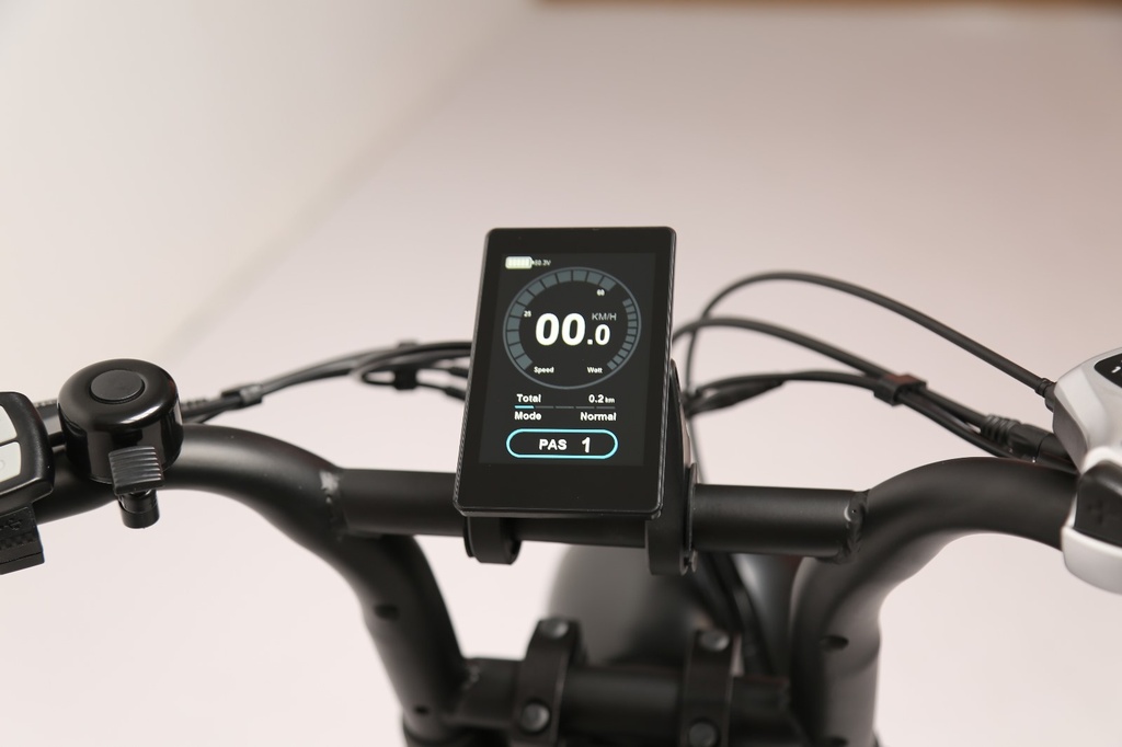 Display 1000W C900E - Rover G6