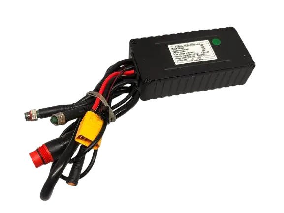 [7257462728734] Controller 250W 48V 189-10E - Rover Pro.webp