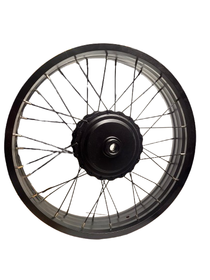 Wheel Rear, with 750W 48V Motor - Rover G2-3.1