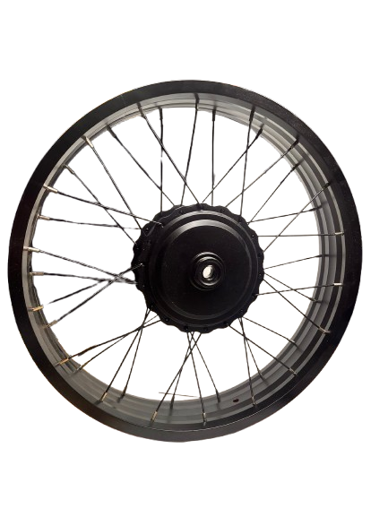 Wheel Rear, with 250/500W 48-52V Motor - Rover G6.1