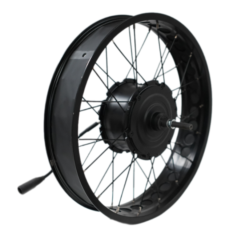 Wheel with 250/500W 52V Motor DGW25T - Rover Pro G1/G6.1