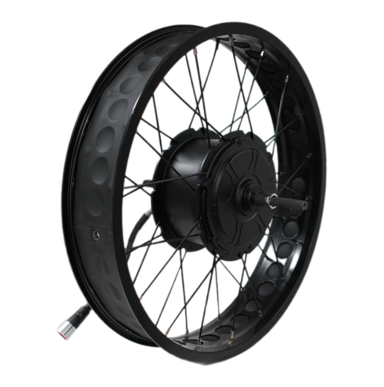 Wheel with 1000W 52V Motor DGW25K - Rover G6.1