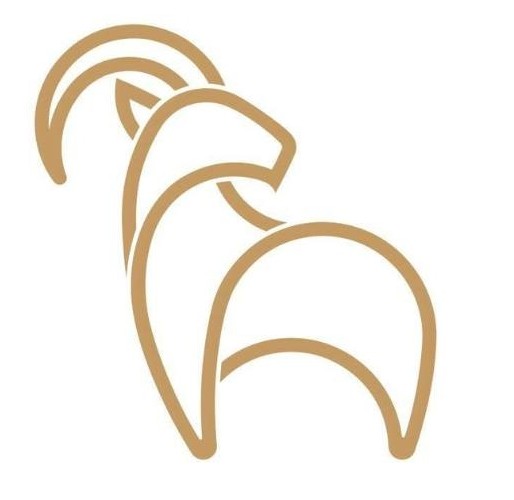 Rear Light  - Rover Pro