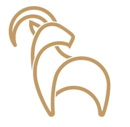 DIRODI ROVER MANUAL (variant in notes)