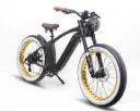 DiroDi Voltz Electric Bike